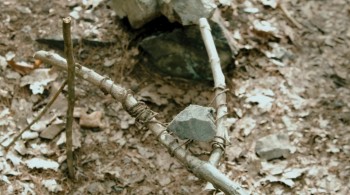 Furry Vengeance screenshot 3