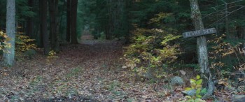 The Dark screenshot 1