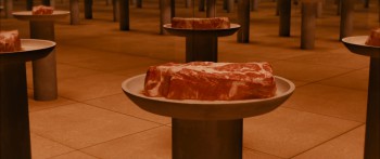 Divergent screenshot 3