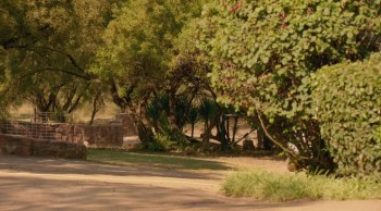 An Elephant's Journey screenshot 1