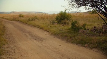 An Elephant's Journey screenshot 3