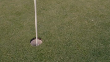 Divorce Invitation screenshot 2