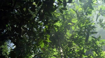 Dead Squad: Temple of the Undead screenshot 2