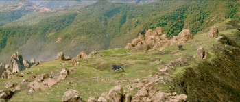 The Amazon Expedition screenshot 1