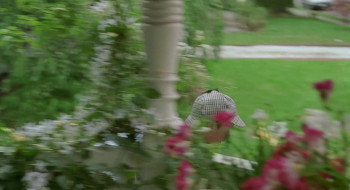 One True Thing screenshot 3