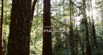 Bigfoot Country screenshot 2