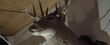 Tempus Tormentum screenshot 3