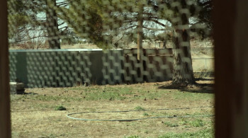 Marfa Girl screenshot 1