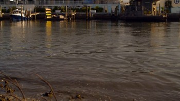 Dolphin Tale 2 screenshot 2