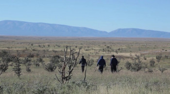 Cosmic Whistleblowers screenshot 1