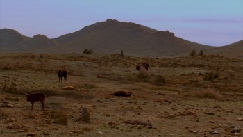 Dominion: Prequel to the Exorcist screenshot 2