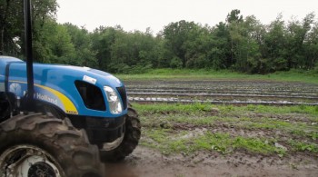 Forgive - Don't Forget screenshot 2