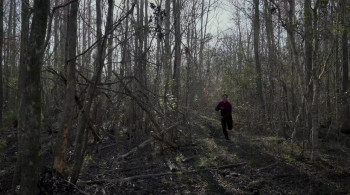 Lost in Buffalo City screenshot 1