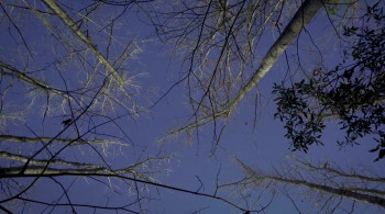 Lost in Buffalo City screenshot 2