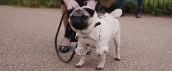 Patrick screenshot 2