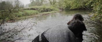 Robin Hood The Rebellion screenshot 2