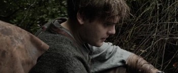 Robin Hood The Rebellion screenshot 3