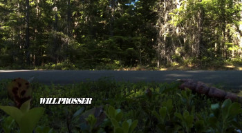 Maggots screenshot 1