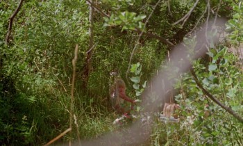 Don't Go in the Woods screenshot 1