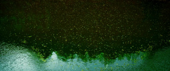 The Veil screenshot 2