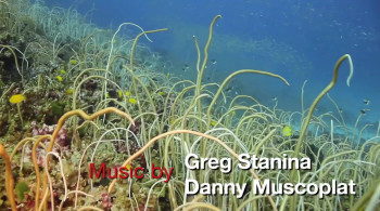 Sharkenstein screenshot 1