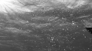 Sharkenstein screenshot 2