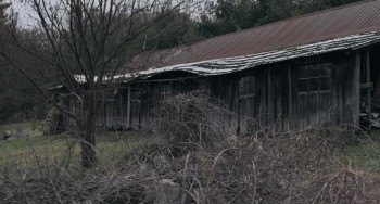 Cut Shoot Kill screenshot 1