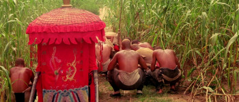 Red Sorghum screenshot 2