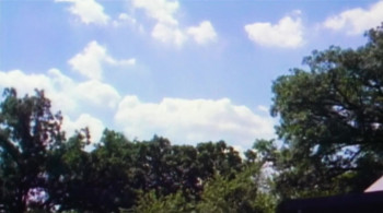 Carnivore screenshot 3