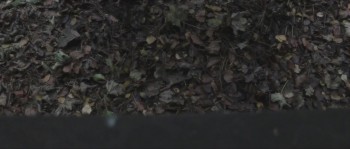 House of Afflictions screenshot 1