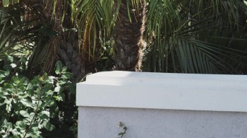 The Last House screenshot 1