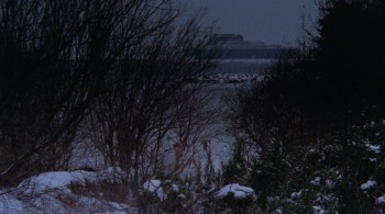 Papegojan screenshot 2