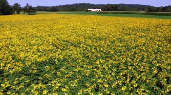 Route 80 screenshot 1