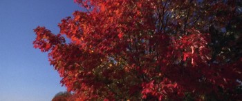 Runaway Bride screenshot 2