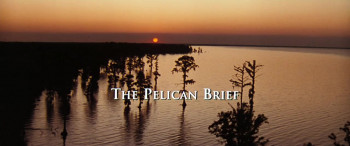 The Pelican Brief screenshot 3