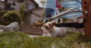 Honey I Blew Up the Kid screenshot 1