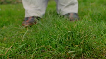 Attenborough's Life That Glows screenshot 1