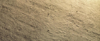 The Rookie screenshot 1