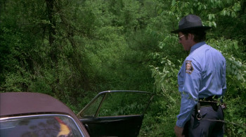 The Cannonball Run screenshot 1