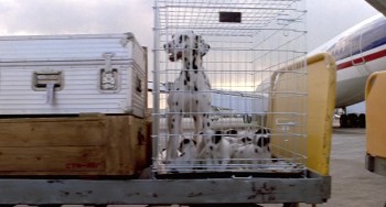 Big Trouble screenshot 2