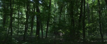 The Nun screenshot 1