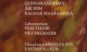 Autumn Sonata screenshot 3