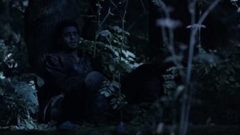 Dragonheart 3: The Sorcerer's Curse screenshot 2