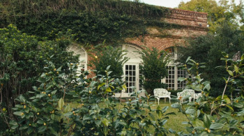 Arbor Demon screenshot 1