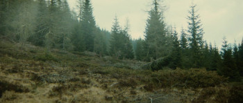 The Bear screenshot 2