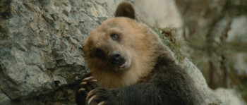 The Bear screenshot 3
