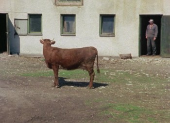Fårö Document 1979 screenshot 3