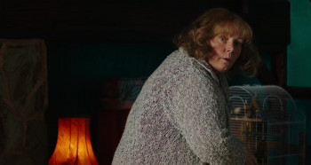 Pin Cushion screenshot 3