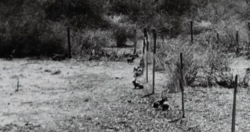 Night of the Lepus screenshot 3