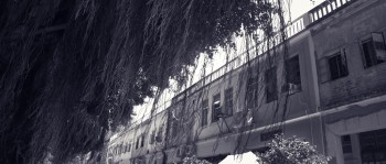 No. 1 Chung Ying Street screenshot 1